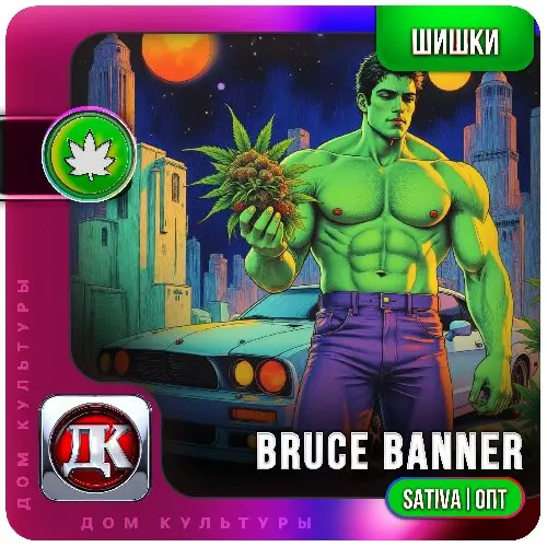 Bruce Banner (Сатива) ОПТ