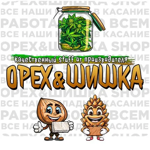 Орех & Шишка