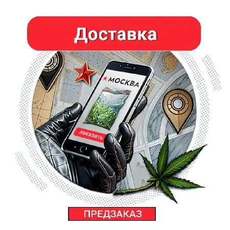 Предзаказ / доставка на район