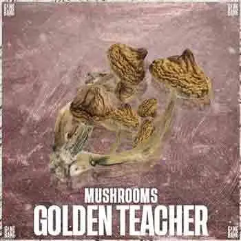 ★Псилоцибиновые грибы "Golden Teacher★