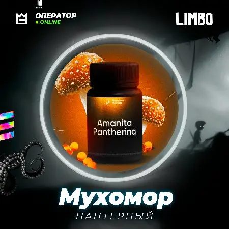 🍄 Мухомор 💊 [Пантерный] в капсулах